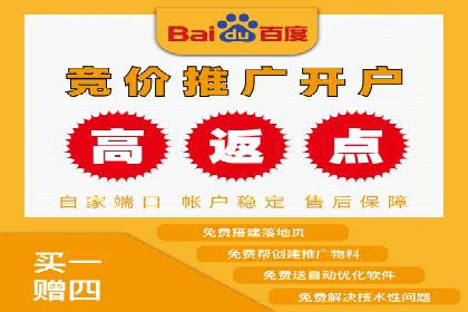 SEM代运营经典案例解析与启示